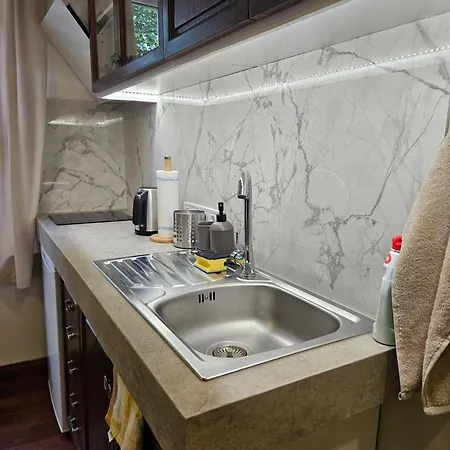 Heina's 公寓 塔林